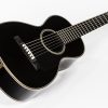 Meckbach-Parlor-black_5-2021_Lr5-small-29.jpg