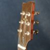 Meckbach-Archtop_11