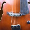 Meckbach-Archtop_17