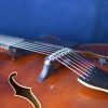 Meckbach-Archtop_20
