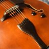 Meckbach-Archtop_34